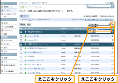 エントリーの未公開 (2)