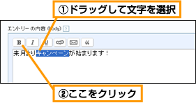 太字の設定 (1)